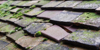 Hotley Bottom roof repair costs